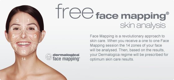 dermalogica face mapping