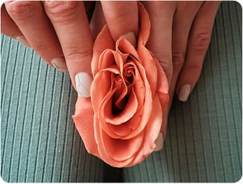 Labia