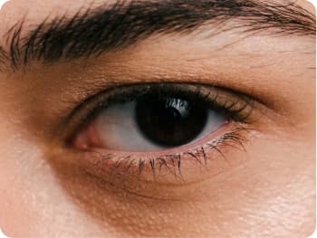 Lumi Eyes