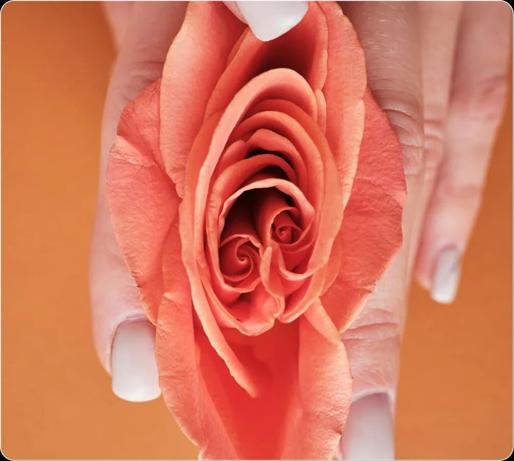 labia banner